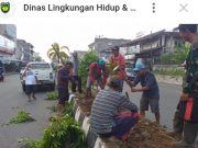 Ciptakan Keindahan Tata Kota, Dinas DLHK Rapikan Taman Pembatas Jalan