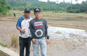 Kades Pagar Gading Lakukan Survei Lokasi Di Bendungan Persawahan Yang Rusak