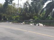 Sampah Masih Berserakan Pinggir Jalan, Kemana Dinas LHK
