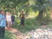 Titik Nol Kegiatan Pembangunan Rabat Beton, Kades Suka Bandung Harap Saling Bersinergi