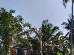 Desa Padang Beriang Butuh Tiang Listrik